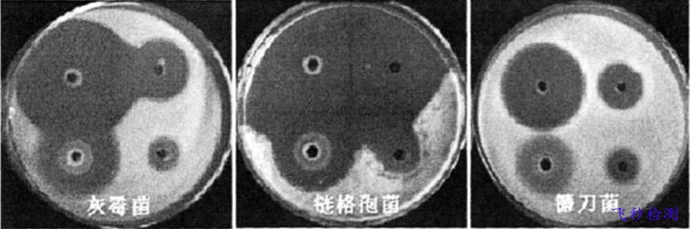 消毒液成分分析檢測(cè)